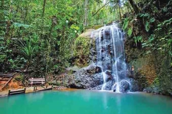 3-Hour Colo-I-Suva Forest Park Tour with Hiking and River Swim