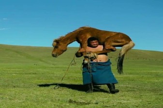8-Day Mongolia Cultural and Horseback Adventure from Ulaanbaatar