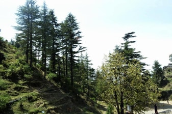 2-Day Nag Tibba Trek from Dehradun with Camping Under the Stars