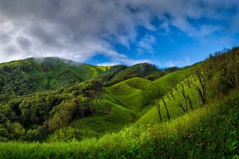 3-Day Dzukou Valley Trek from Dimapur with Angami Village Stay