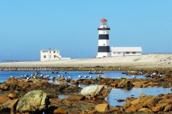 5-Hour Cape Recife Tour with Lighthouse and Grysbok Reserve