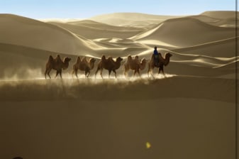 7-Day Gobi Desert Tour from Sergelen with Terelj and Local Flight