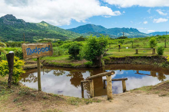 5-Hour Sabeto Mud Pools Tour from Nadi with Thermal Springs