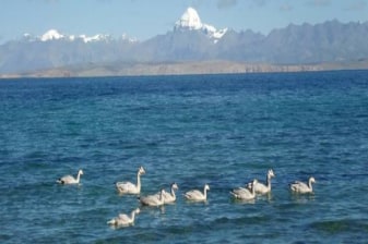 13-Day Kailash Mansarovar Pilgrimage from Kathmandu via Mount Kailash
