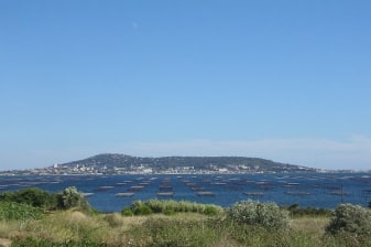 8-Hour Sète Gastronomy and Wine Tour from Montpellier