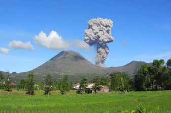 2-Day Manado and Tangkoko National Park Tour with Tarsier Spotting