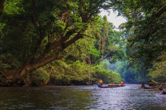 4-Day Taman Negara Tour from Kuala Lumpur with Jungle and River Adventures