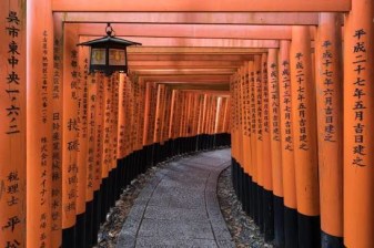 7-Hour Kyoto and Nara Tour with Fushimi Inari and Sacred Deer