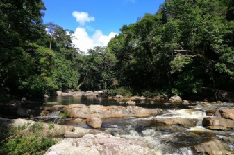 1-Day Lata Berkoh Jungle Trek in Taman Negara with Boat Return