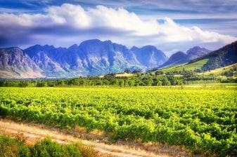 8-Hour Franschhoek and Stellenbosch Wine Tour with Estate Tastings