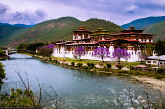 11-Day Bhutan Highlights Tour with Tiger's Nest and Phobjikha Valley