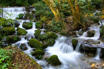 Full-Day Bagdwar Hike in Shivapuri Nagarjun National Park