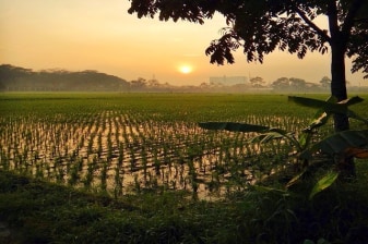 1-Day Battambang Countryside Bike Tour with Sampov Mountain