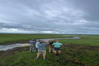 8-Day Durban to Maputo Coastal Tour with Safari and Snorkelling