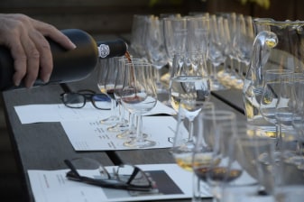 8-Hour Wine Tasting Tour in Stellenbosch, Franschoek and Paarl