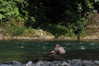 1-Day Wildlife Trek in Gunung Leuser National Park with Orangutans