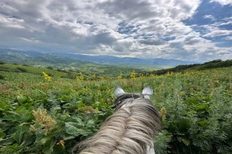 6-Hour Horseback Riding Tour in Ile-Alatau National Park
