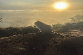 8-Hour Mount Batur Sunrise Hike in Bali with Summit Breakfast