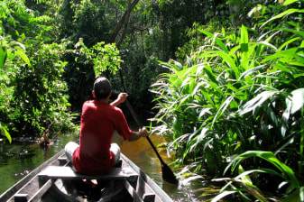 5-Hour Green Lake and Enchanted Forest Tour in Alter do Chão