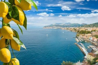 6-Hour Sorrento Food Tour with Historic Oil Mill and Vesuvius Winery