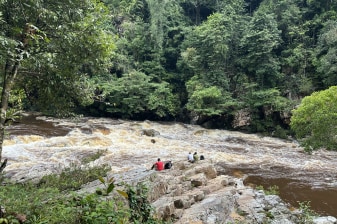 4-Day Taman Negara Jungle Tour from Kuala Tahan with Orang Asli Visit