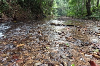 4-Day Jungle Trekking Tour from Wahau to Berau with Wehea Culture