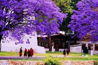 3-Day Thimphu and Paro Tour with Tiger's Nest Monastery Hike