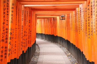 2-Hour Fushimi Inari Shrine Tour in Kyoto with Shinto Insights