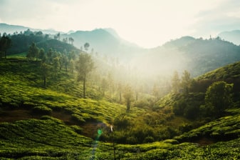 10-Day India Heritage and Wildlife Tour from Delhi to Kerala