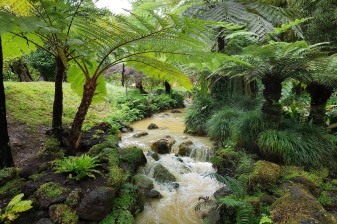 7-Hour Furnas Valley Tour from São Miguel with Cozido and Terra Nostra