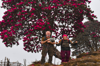 8-Day Singalila Trek in Darjeeling with Sandakphu and Phalut