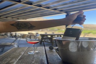 9-Hour Valle de Guadalupe Wine Tour with Tastings at Top Wineries