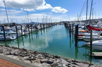 5-Hour East Auckland Tour with Howick Village and Half Moon Bay
