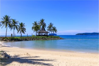 11-Day Nature Trip in Malaysia with Turtle Island and Sepilok