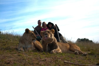 9-Hour Mossel Bay Highlights Tour with Seal Island and Pinnacle Point