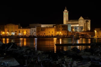 7-Hour Bari and Trani Sightseeing Tour with Castel del Monte