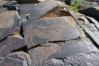 8-Hour Tamgaly Rock Art Tour from Almaty with UNESCO Petroglyphs