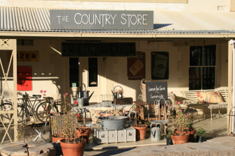 5-Day Garden Route and Little Karoo Tour with Prince Albert