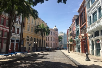 4-Hour Recife Walking Tour with Museums and Historic Harbour