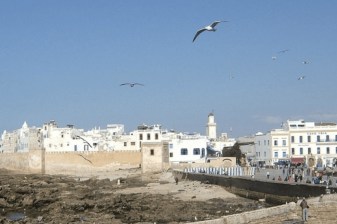 9-Day Morocco Tour of Marrakech, Essaouira and Agadir with Agafay