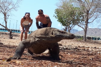 5-Hour Komodo Island Trek and Cruise with Pink Beach Snorkelling