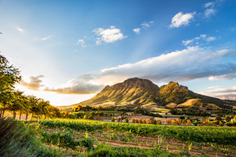 1-Day Stellenbosch and Franschhoek Winelands Tour with Wine Tasting