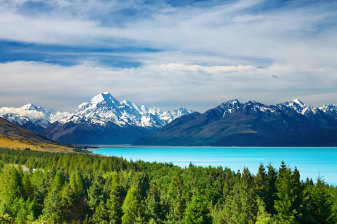 13-Hour Mackenzie Basin Nature Tour from Christchurch to Mount Cook