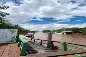 4-Hour Combu Island Amazon Tour from Belém with Chocolate Experience