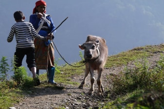 2-Day Chobhar Hill Trek and Kathmandu Tour with Local Village Life