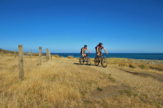 3-Day Remutaka Cycle Tour from Welligton