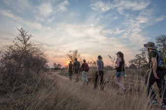 5-Day Greater Kruger Walking Safari with Night Drives
