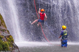 6-Day Bohol and Cebu Adventure with Apo Island and Kawasan Falls