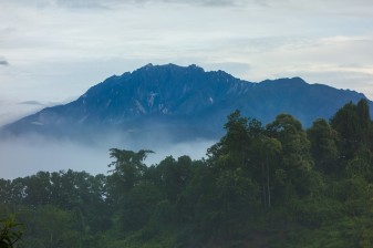 Full-Day Kinabalu Park and Poring Hot Springs Tour with Canopy Walk
