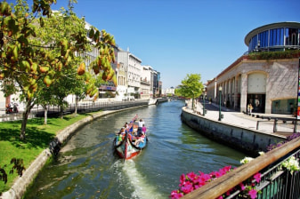8-Hour Porto and Aveiro Sightseeing Tour with Moliceiro Cruise